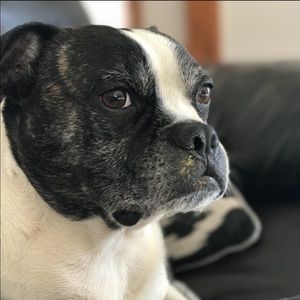 Meet your Posher, Maddie